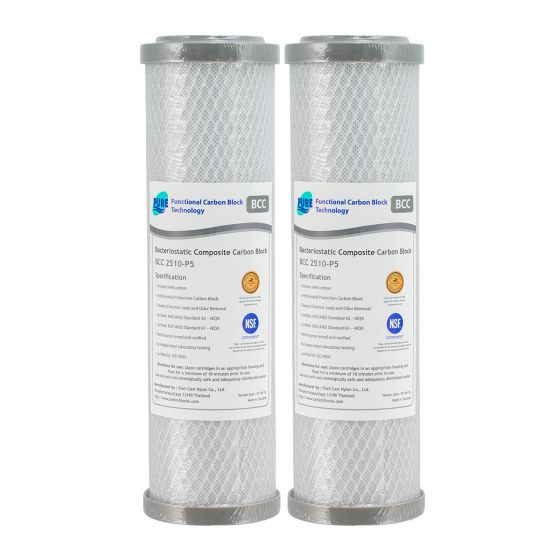 0.5 Micron Silver Impregnated (Bacteriostatic) 100% Coconut Carbon Block Water Filters (2 Pack) | 10" x 2.5" (GT4-58BCCP5)
